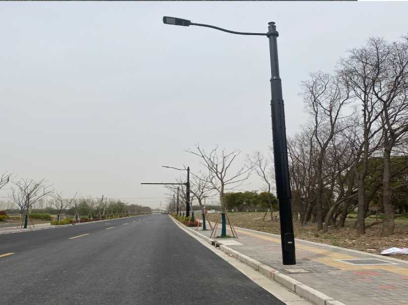 台州市上海综合杆 太阳能路灯工程